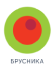 ГК «Брусника»