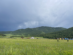 «Республика Алтай, с.Чемал, 16 сот.»