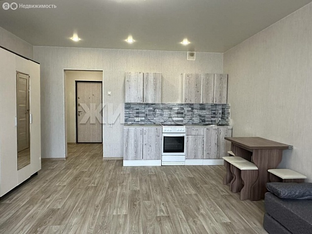 Квартира-студия: Новосибирск, улица Татьяны Снежиной, 42 (34м2)