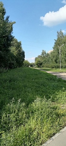 2-к кв. Новосибирская область, Новосибирск ул. Грибоедова, 75 (44.0м2)