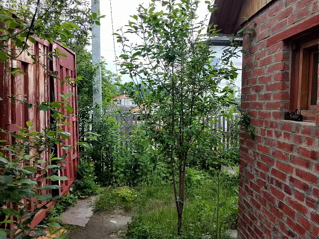 Дом в Новосибирск, садоводческое товарищество Инструментальщик, 20 (20м2)