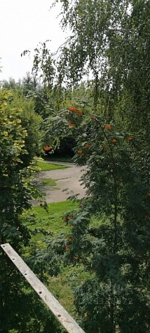 2-к кв. Новосибирская область, Новосибирск ул. Грибоедова, 75 (44.0м2)